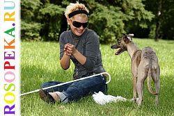 Инклюзивное образование