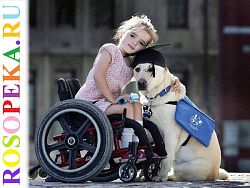 Технологические особенности и кадровое обеспечение обслуживания инвалидов в центрах занятости