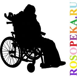 Интеграция студентов с ограниченными возможностями жизнедеятельности: сущность и направления