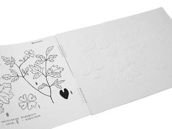 Пособие для незрячих - Эколого-эволюционное учение о растительном мире арт. ИА3564