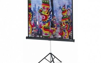 Экран на штативе 200x200 см Professional A Type D Medium арт. RN17050