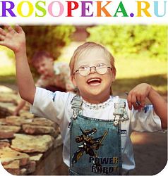 Проблемы подготовки педагогических работников к работе в инклюзивном учебном заведении