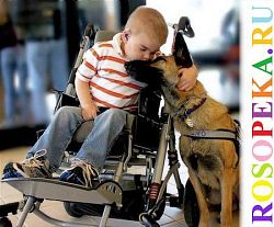 Социальное самочувствие общества и демографическое благополучие