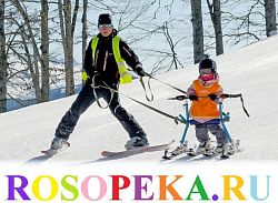 Условия формирования социального поведения