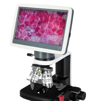 Микроскоп цифровой Levenhuk D450L LCD 7"