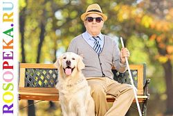 Роль различных субъектов общества в защите прав человека с инвалидностью