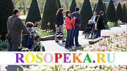 Сопровождение семьи, в которой умирает или умер ребенок