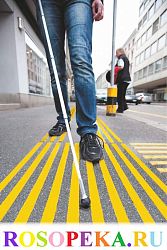 Привлечение одноклассников ученика с ограниченными образовательными потребностями к созданию инклюзивной среды