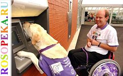 Педагогическая компетентность родителей кохлеарно имплантированных детей