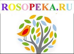 Мониторинг готовности педагогов экспериментальных учреждений к работе с детьми с особыми образовательными потребностями в условиях инклюзивного обучения