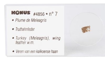 Набор микропрепаратов Konus 10: «Ящерицы, змеи и птицы»