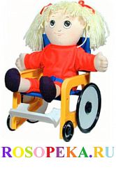 Сотрудничества общественных организаций инвалидов с органами публичной власти