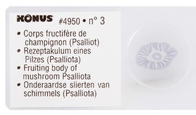 Набор микропрепаратов Konus 10: «Почва»