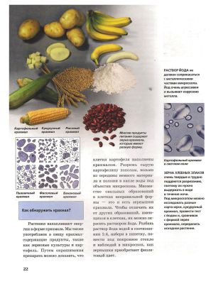 Микроскоп. Детская энциклопедия Levenhuk (Левенгук)