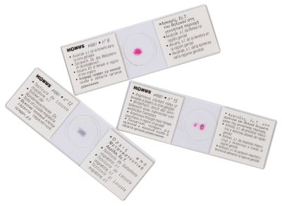 Набор микропрепаратов Konus 15: «Размножение беспозвоночных»