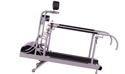 Tредмил «Реатерра Кардио» арт. Mad28327