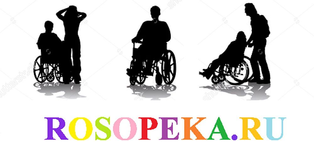 2.1. Основания изучения удовлетворенности практикой социального включения детей-инвалидов