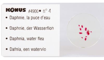 Набор микропрепаратов Konus 10: «Потрясающий мир в капле воды»