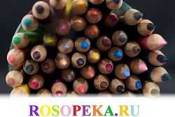 Отношение к инвалидам – признак толерантности общества