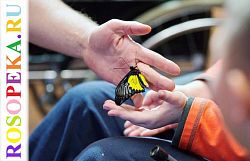 Роль профессиональной ориентации подростков с инвалидностью