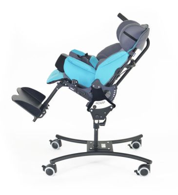 Кресло-коляска инвалидная для детей с ДЦП HOGGI BINGO Evolution на домашней раме