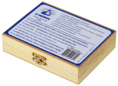 Набор микропрепаратов Konus 15: «Размножение беспозвоночных»
