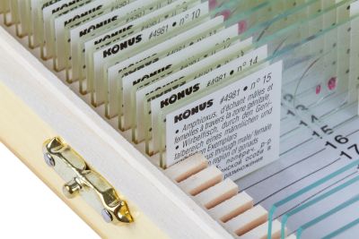 Набор микропрепаратов Konus 15: «Размножение беспозвоночных»