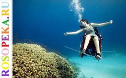 Внедрение образовательной программы для педагогов инклюзивных классов