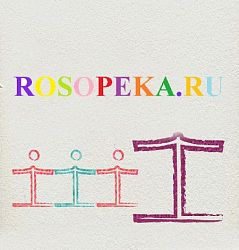 Выводы к главе- Общие принципы общения.