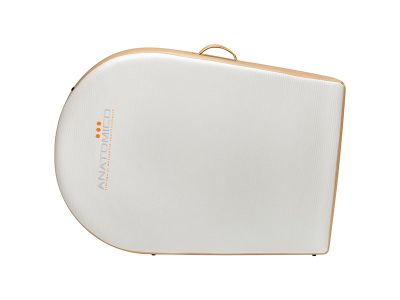 Массажный стол Anatomico Dolce (золотой) арт. UM18440