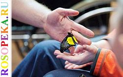 Дети с инвалидностью