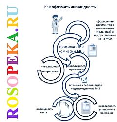 Основные составляющие этой работы команды