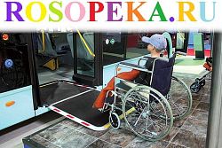 Оценки поведения учащихся с ограниченными способностями