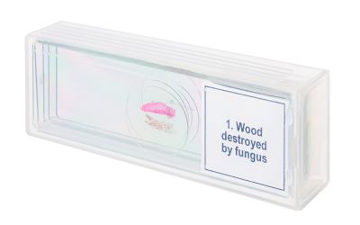 Набор микропрепаратов Levenhuk Discovery Prof DPS 5. «Мутации»