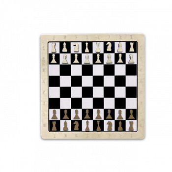 Настенная игра «2 в 1 шашки + шахматы»