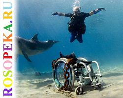 - Дания. Государственная политика