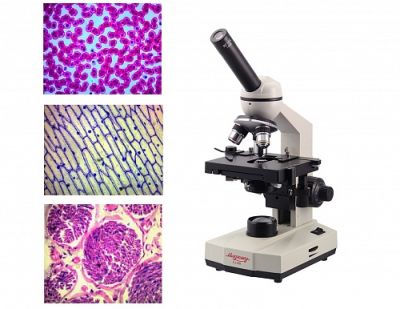 Микроскоп биологический демонстрационный арт. ФгК26905