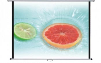 Экран настенный рулонный 160x160 см Rollerscreen Type D Medium арт. RN17795