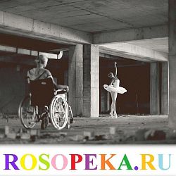 Основные направления деятельности