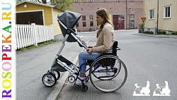 Мониторинг предоставления услуг по содействию трудоустройству