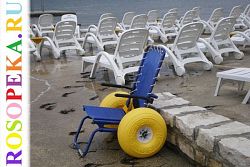 Содержание учебной программы