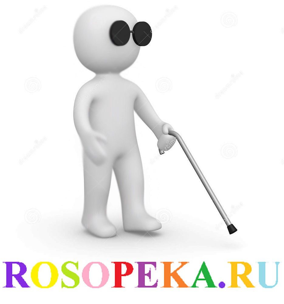 Модели функционирования и деятельности органов власти