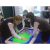 Интерактивный стол Smart Table ST442i Интерактивный стол Smart Table ST442i