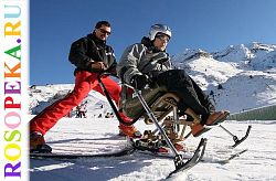 Формирование языковых навыков у детей с нарушениями речи