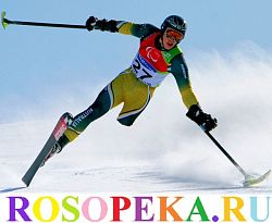 Консультативно-методическое сопровождение семей