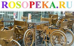 Мониторинг социально трудовых компетенций в рамках трудового обучения детей с умственной отсталостью