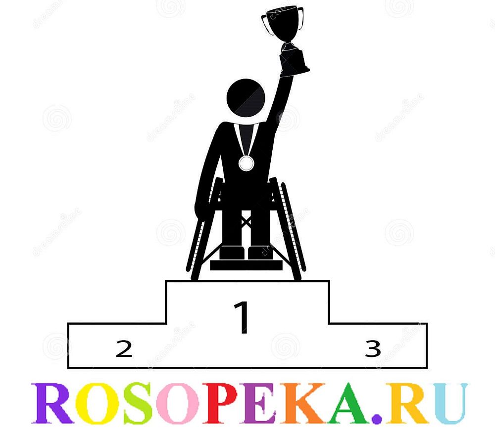 Зарубежный опыт организации и контроля социальной защиты инвалидов