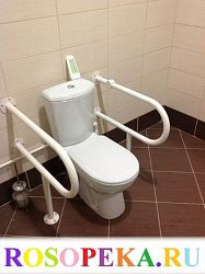 Особенности общественных организаций людей с инвалидностью