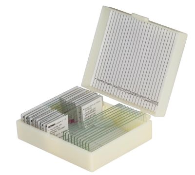 Набор микропрепаратов Konus 10: «Биология» (часть 2)