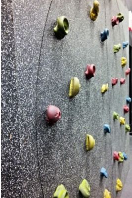 Интерактивная поверхность для скалолазания Freedom Climber арт. ExR23602